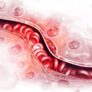 Tutto sui fluidificanti del sangue Tutto sui fluidificanti del sangue