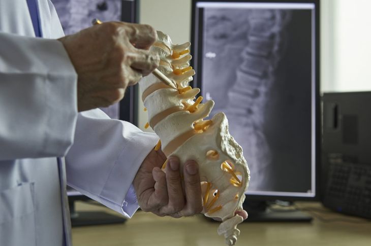 Le vertebre lombari e le loro funzioni 11