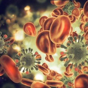 Funzioni delle proteine nel corpo umano Funzioni delle proteine nel corpo umano