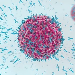 Che cos’è la sindrome da anticorpi antifosfolipidi?
