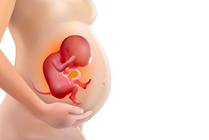Il significato della posizione del feto 9