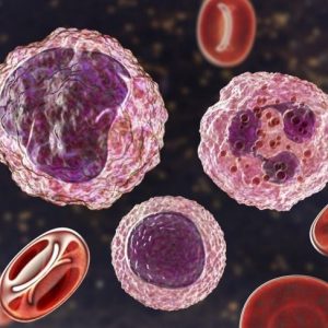 Il ruolo dei monociti nella risposta immunitaria Il ruolo dei monociti nella risposta immunitaria