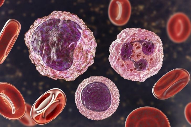 Il ruolo dei monociti nella risposta immunitaria 1