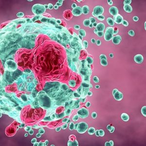 Comprendere i meccanismi e la composizione delle neoplasie Comprendere i meccanismi e la composizione delle neoplasie