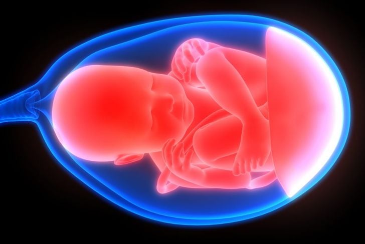 Il significato della posizione del feto 11