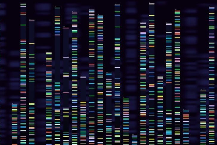 Mutazioni genetiche e sindrome di Alport 19