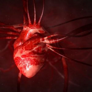 Che cos’è l’arterite di Takayasu? Che cos’è l’arterite di Takayasu?