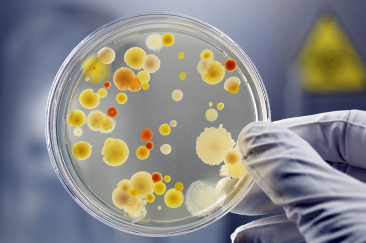 Gli agenti patogeni comuni e il loro effetto su di noi 3