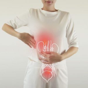 Tutto sulle arterie renali Tutto sulle arterie renali