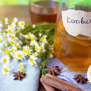 14 benefici del kombucha per la salute 14 benefici del kombucha per la salute