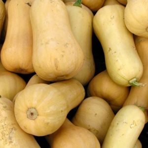 Il piatto sulla zucca butternut Il piatto sulla zucca butternut