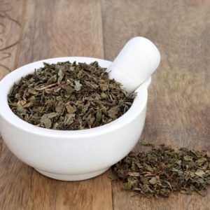 Gli incredibili benefici del Gotu Kola per la salute Gli incredibili benefici del Gotu Kola per la salute