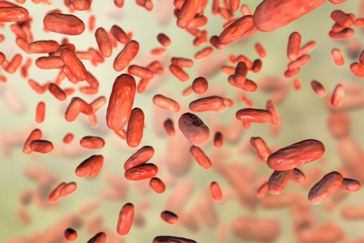 Batteri patogeni e benefici dello Pseudomonas 13