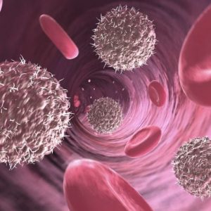 Linfopenia: L’importanza dei linfociti
