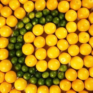 Modi semplici per attivare il sistema immunitario Modi semplici per attivare il sistema immunitario