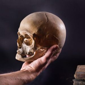 Le ossa del cranio