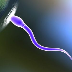 Fattori che influenzano la fertilità e la gravidanza