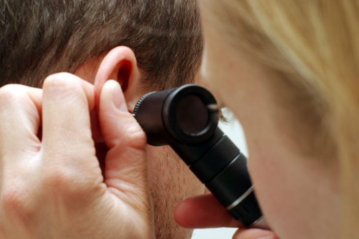 L'anatomia dell'orecchio 9