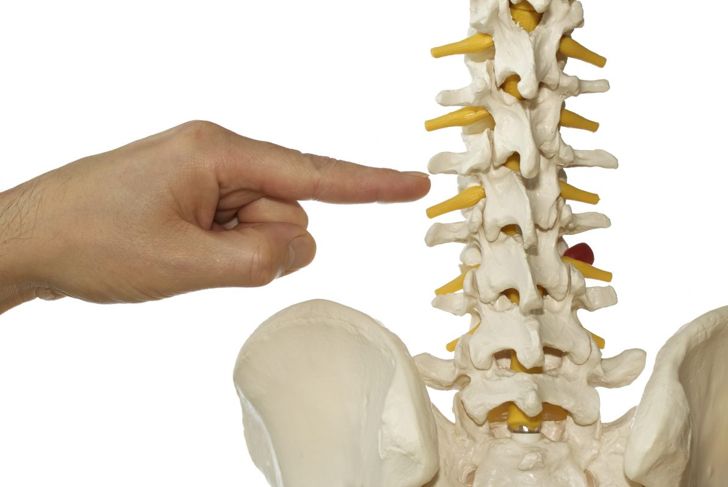Le vertebre lombari e le loro funzioni 9