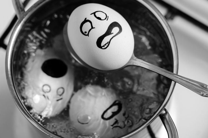 La dieta dell'uovo è tutta da scoprire? 13