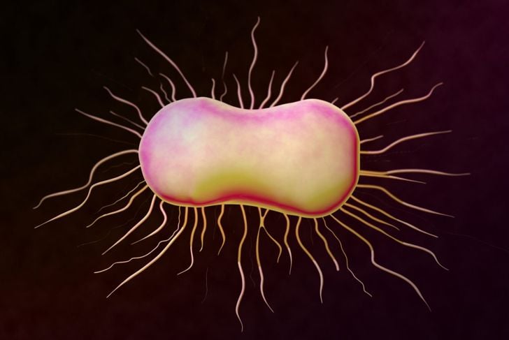 Cause e trattamenti dell'E. coli 7