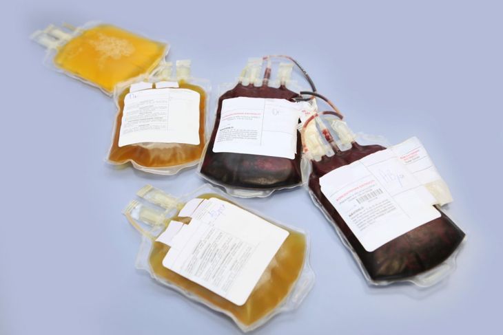 Tutto sulle trasfusioni di sangue 7
