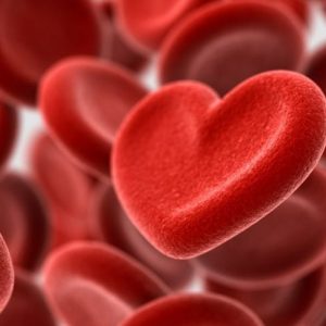 Tutto sulle trasfusioni di sangue Tutto sulle trasfusioni di sangue