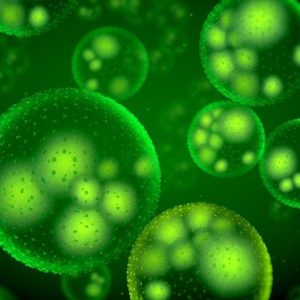 Benefici dell’ortica per la salute Benefici dell’ortica per la salute