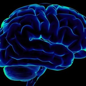 Capire la sindrome di Gerstmann Capire la sindrome di Gerstmann