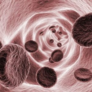 Malattie vascolari periferiche: Una grave preoccupazione per la circolazione Malattie vascolari periferiche: Una grave preoccupazione per la circolazione