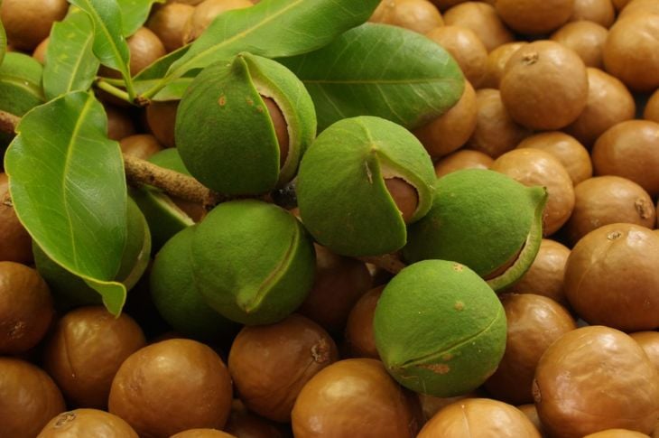 10 benefici per la salute delle noci di Macadamia 9