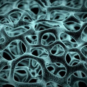 Mycobacterium tuberculosis Mycobacterium tuberculosis