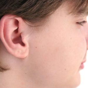 L’anatomia dell’orecchio