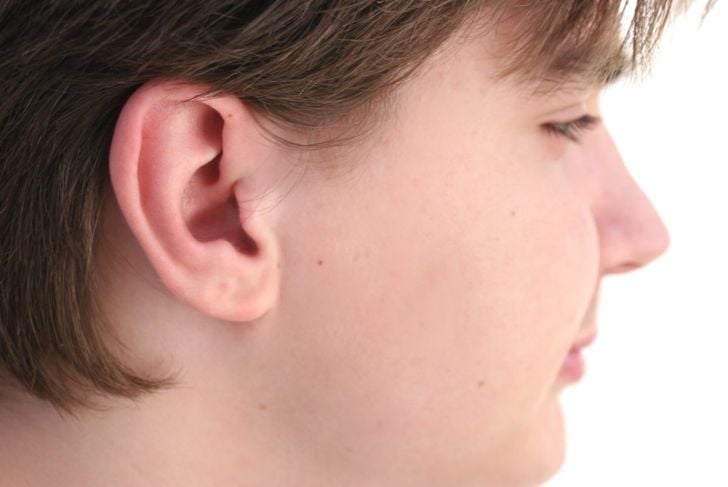 L'anatomia dell'orecchio 1