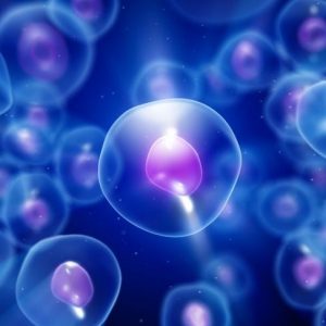 Impatto delle mutazioni genetiche sulla sindrome di Hunter Impatto delle mutazioni genetiche sulla sindrome di Hunter