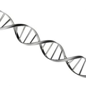Tipi, diagnosi e trattamento del cancro del sangue Tipi, diagnosi e trattamento del cancro del sangue