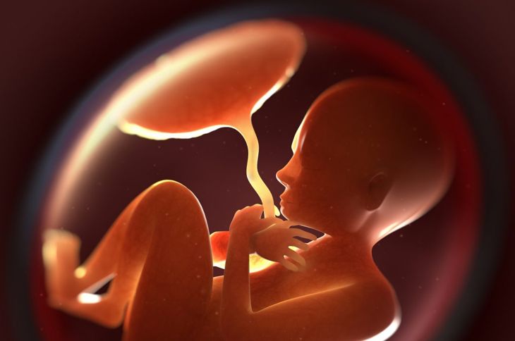 Che cos'è la placenta previa? 1