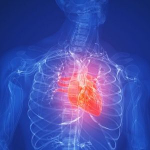 Che cos’è la cachessia cardiaca? Che cos’è la cachessia cardiaca?