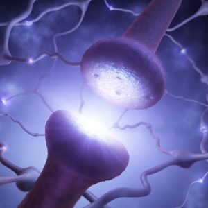 I neurotrasmettitori e le loro funzioni