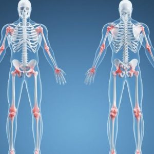 Che cos’è il sistema scheletrico?