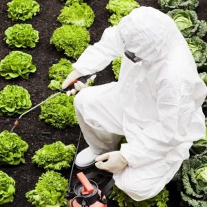 Capire entrambi i lati del dibattito sugli alimenti OGM Capire entrambi i lati del dibattito sugli alimenti OGM