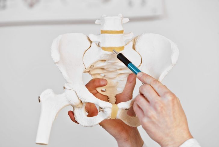 Le vertebre lombari e le loro funzioni 19