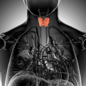 10 segni di cancro alla tiroide 10 segni di cancro alla tiroide
