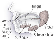 Disturbi delle ghiandole salivari 1