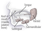 Disturbi delle ghiandole salivari Disturbi delle ghiandole salivari