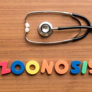 Domande frequenti sulle zoonosi Domande frequenti sulle zoonosi