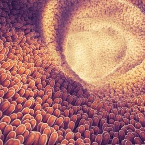 10 sintomi della sindrome di Zollinger-Ellison