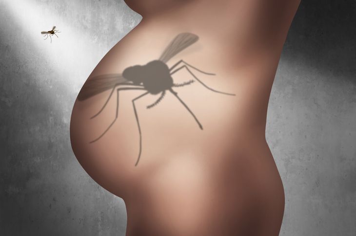 10 cose da sapere sul virus Zika e la gravidanza 5