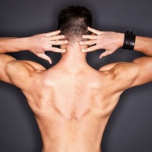 I muscoli della spalla e il loro movimento
