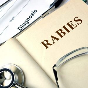 10 sintomi della rabbia 10 sintomi della rabbia